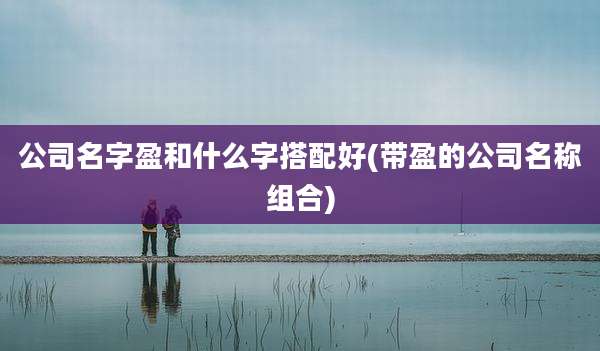 公司名字盈和什么字搭配好(带盈的公司名称组合)