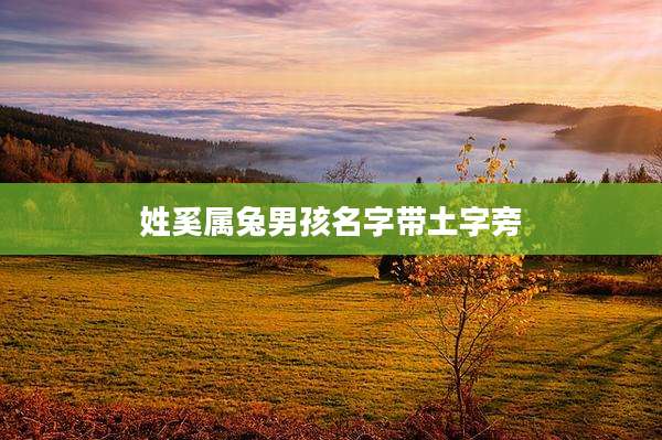 姓奚属兔男孩名字带土字旁