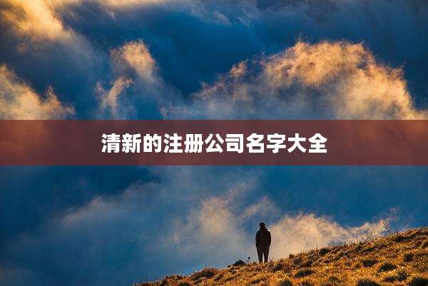 清新的注册公司名字大全