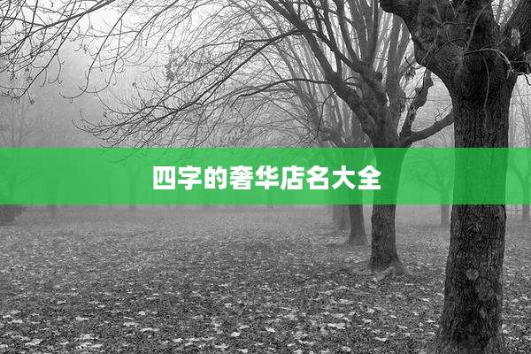 四字的奢华店名大全