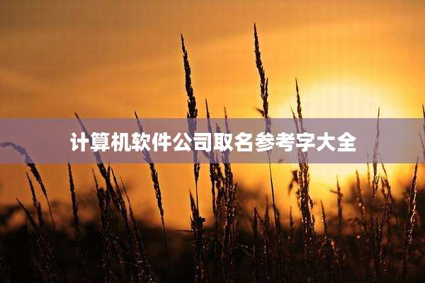 计算机软件公司取名参考字大全