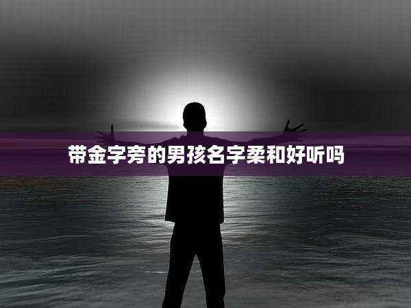 带金字旁的男孩名字柔和好听吗