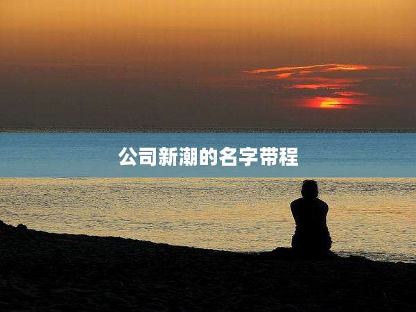 公司新潮的名字带程