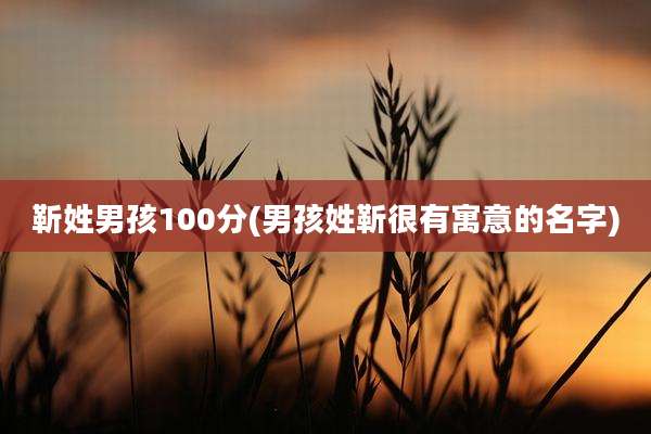 靳姓男孩100分(男孩姓靳很有寓意的名字)