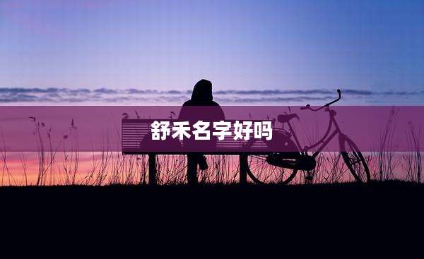 舒禾名字好吗