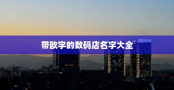 带欧字的数码店名字大全