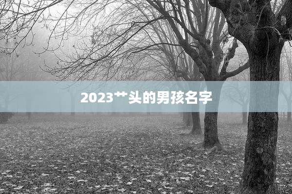 2023艹头的男孩名字