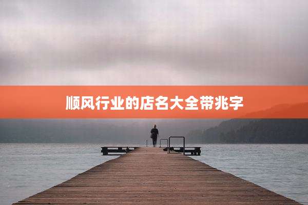 顺风行业的店名大全带兆字