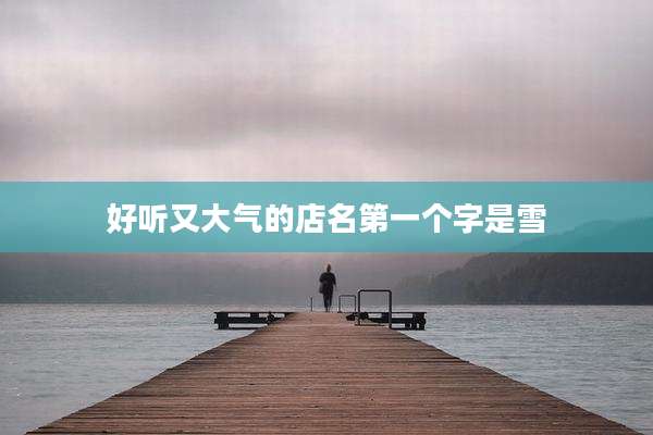 好听又大气的店名第一个字是雪