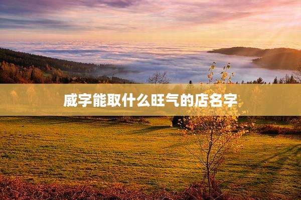 威字能取什么旺气的店名字