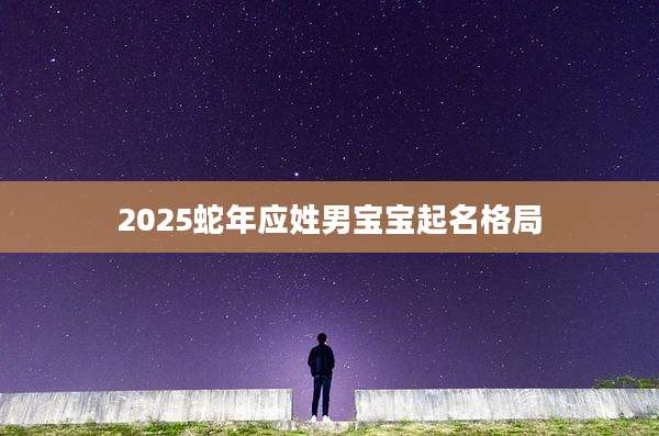 2025蛇年应姓男宝宝起名格局