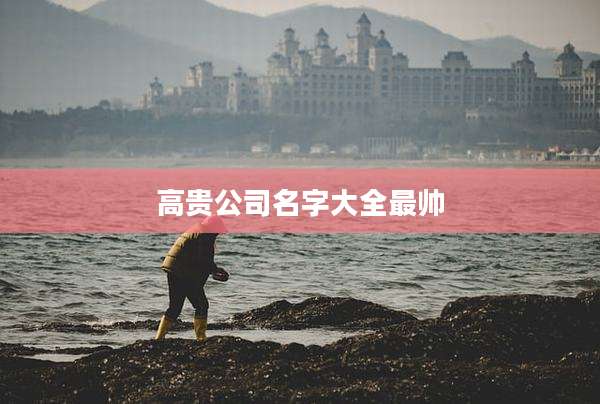 高贵公司名字大全最帅