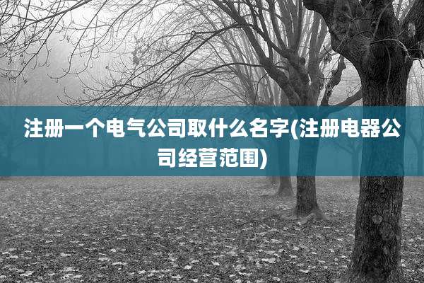 注册一个电气公司取什么名字(注册电器公司经营范围)