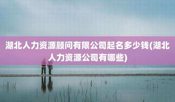 湖北人力资源顾问有限公司起名多少钱(湖北人力资源公司有哪些)