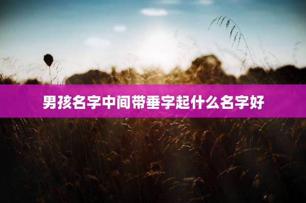 男孩名字中间带垂字起什么名字好
