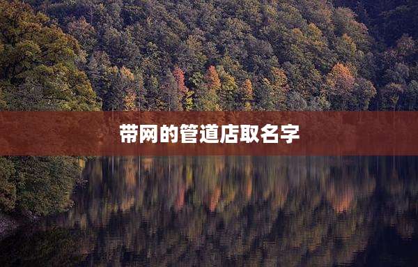 带网的管道店取名字