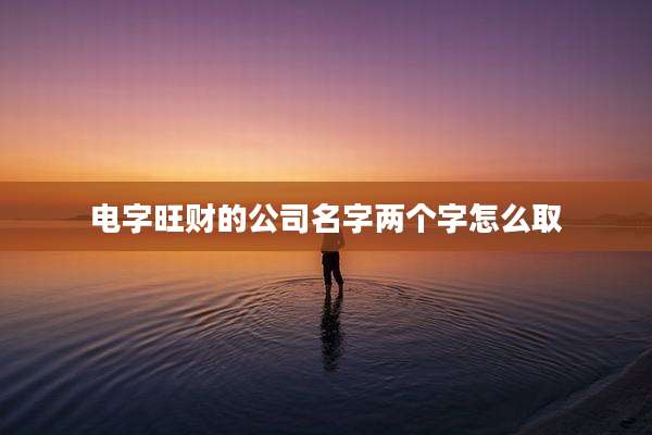 电字旺财的公司名字两个字怎么取