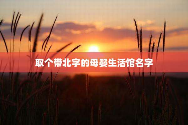 取个带北字的母婴生活馆名字