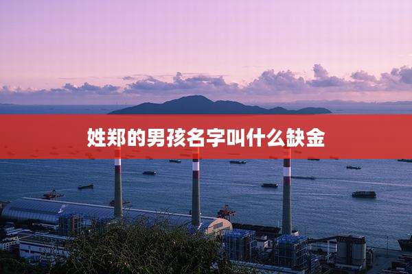 姓郑的男孩名字叫什么缺金