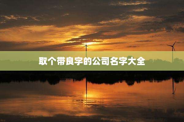 取个带良字的公司名字大全