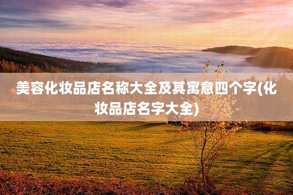 美容化妆品店名称大全及其寓意四个字(化妆品店名字大全)