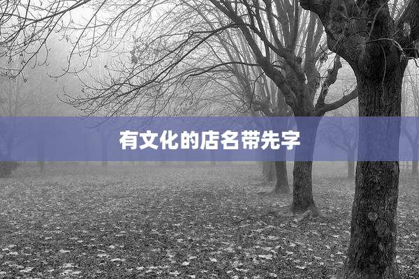 有文化的店名带先字