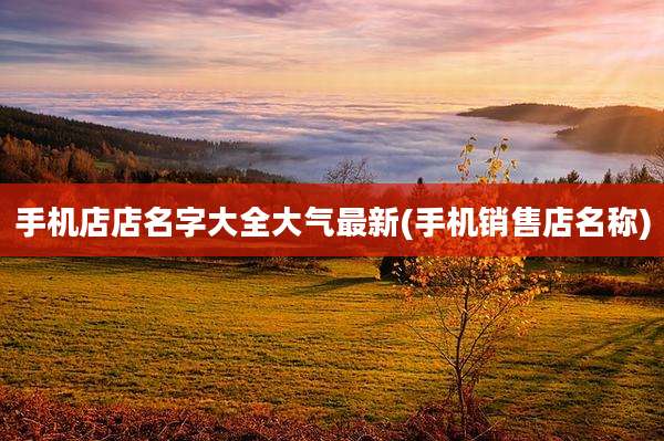 手机店店名字大全大气最新(手机销售店名称)