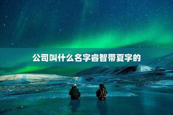 公司叫什么名字睿智带夏字的
