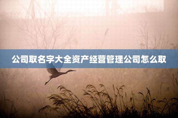 公司取名字大全资产经营管理公司怎么取
