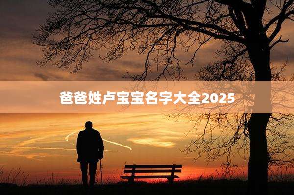 爸爸姓卢宝宝名字大全2025