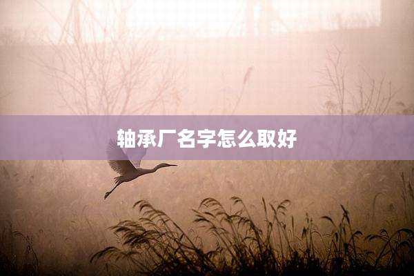 轴承厂名字怎么取好