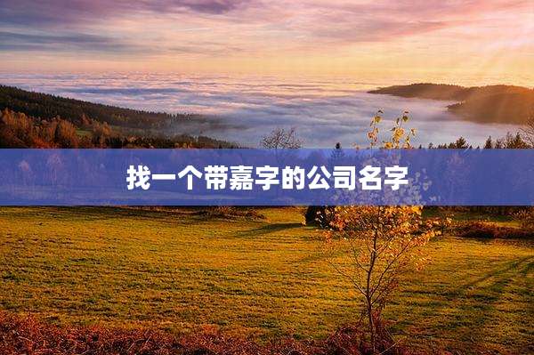 找一个带嘉字的公司名字