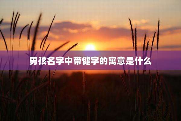 男孩名字中带健字的寓意是什么