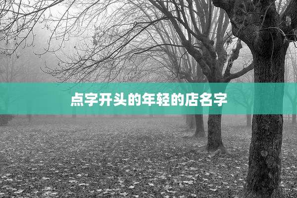 点字开头的年轻的店名字