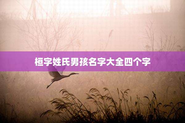 桓字姓氏男孩名字大全四个字
