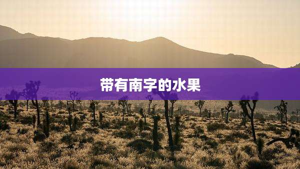 带有南字的水果
