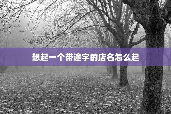 想起一个带途字的店名怎么起