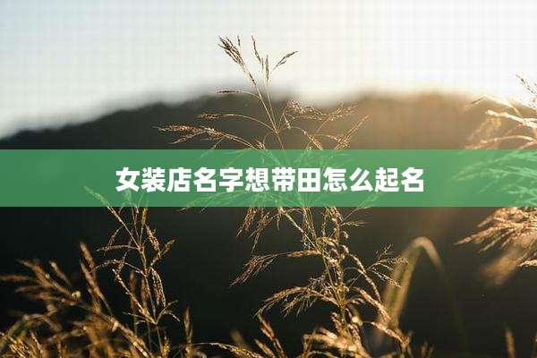 女装店名字想带田怎么起名