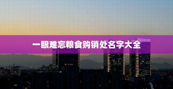 一眼难忘粮食购销处名字大全