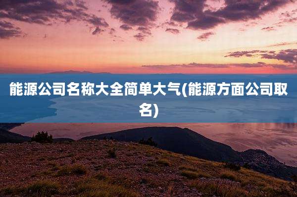 能源公司名称大全简单大气(能源方面公司取名)