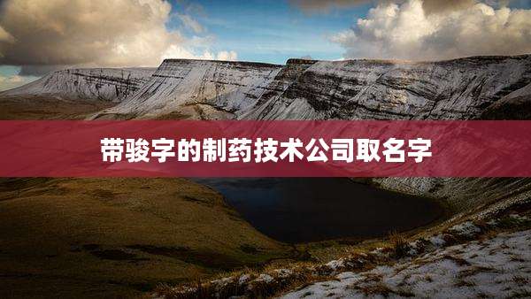 带骏字的制药技术公司取名字