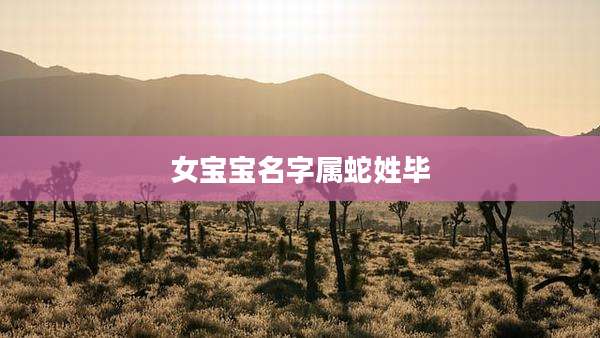 女宝宝名字属蛇姓毕
