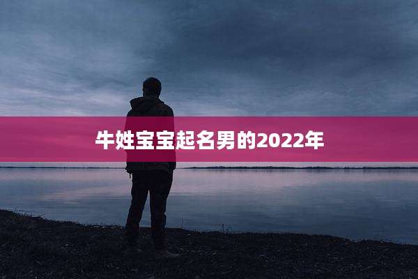 牛姓宝宝起名男的2022年
