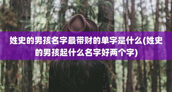 姓史的男孩名字最带财的单字是什么(姓史的男孩起什么名字好两个字)