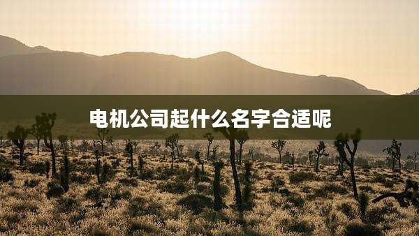 电机公司起什么名字合适呢