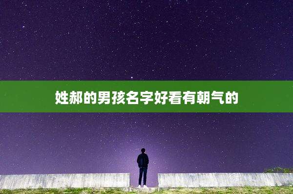 姓郝的男孩名字好看有朝气的