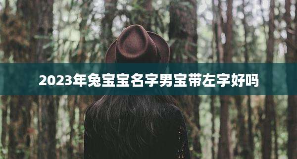 2023年兔宝宝名字男宝带左字好吗