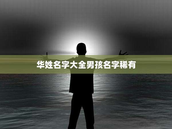 华姓名字大全男孩名字稀有