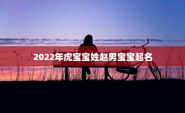 2022年虎宝宝姓赵男宝宝起名