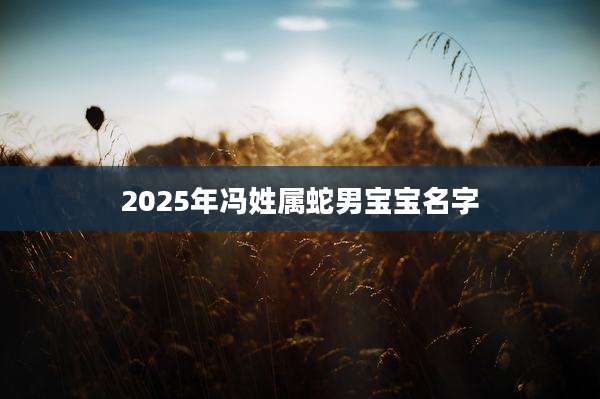 2025年冯姓属蛇男宝宝名字